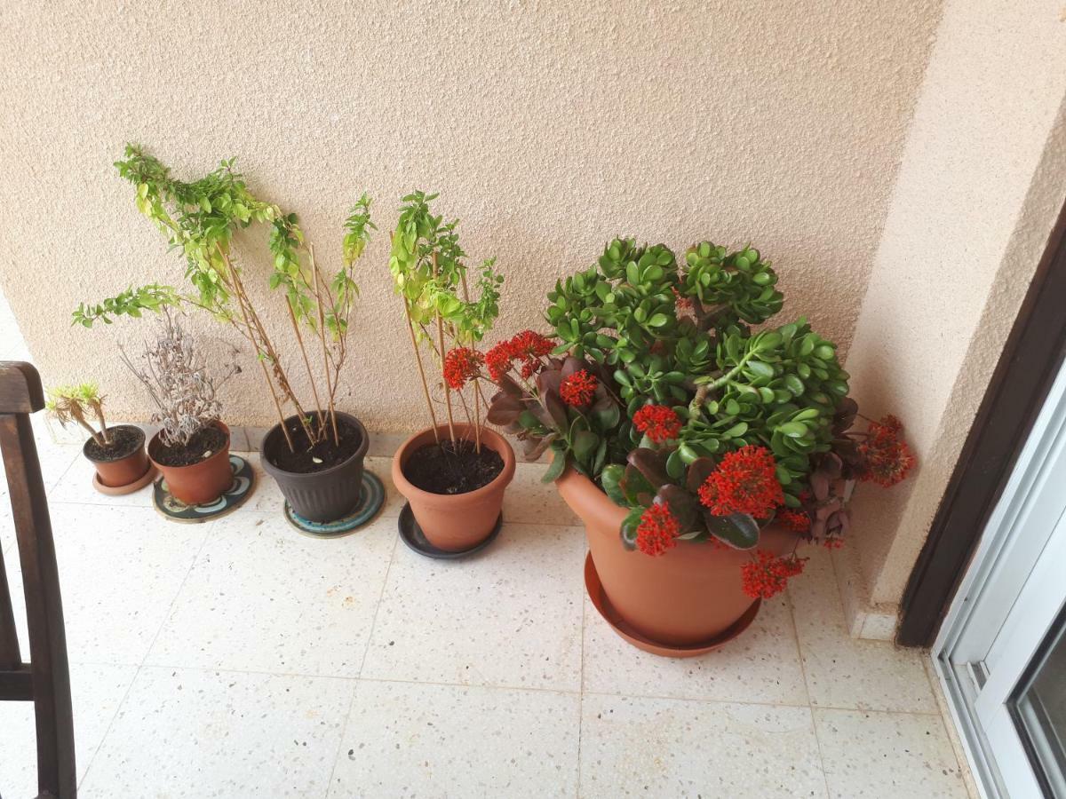 The Marilouize Apartment Peyia Bagian luar foto